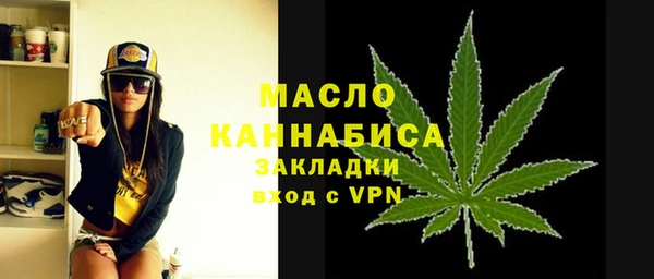 дмт Алексин