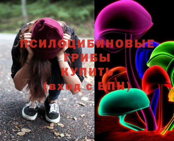 ПСИЛОЦИБИНОВЫЕ ГРИБЫ Ельня