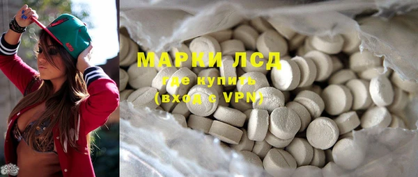 индика Абаза